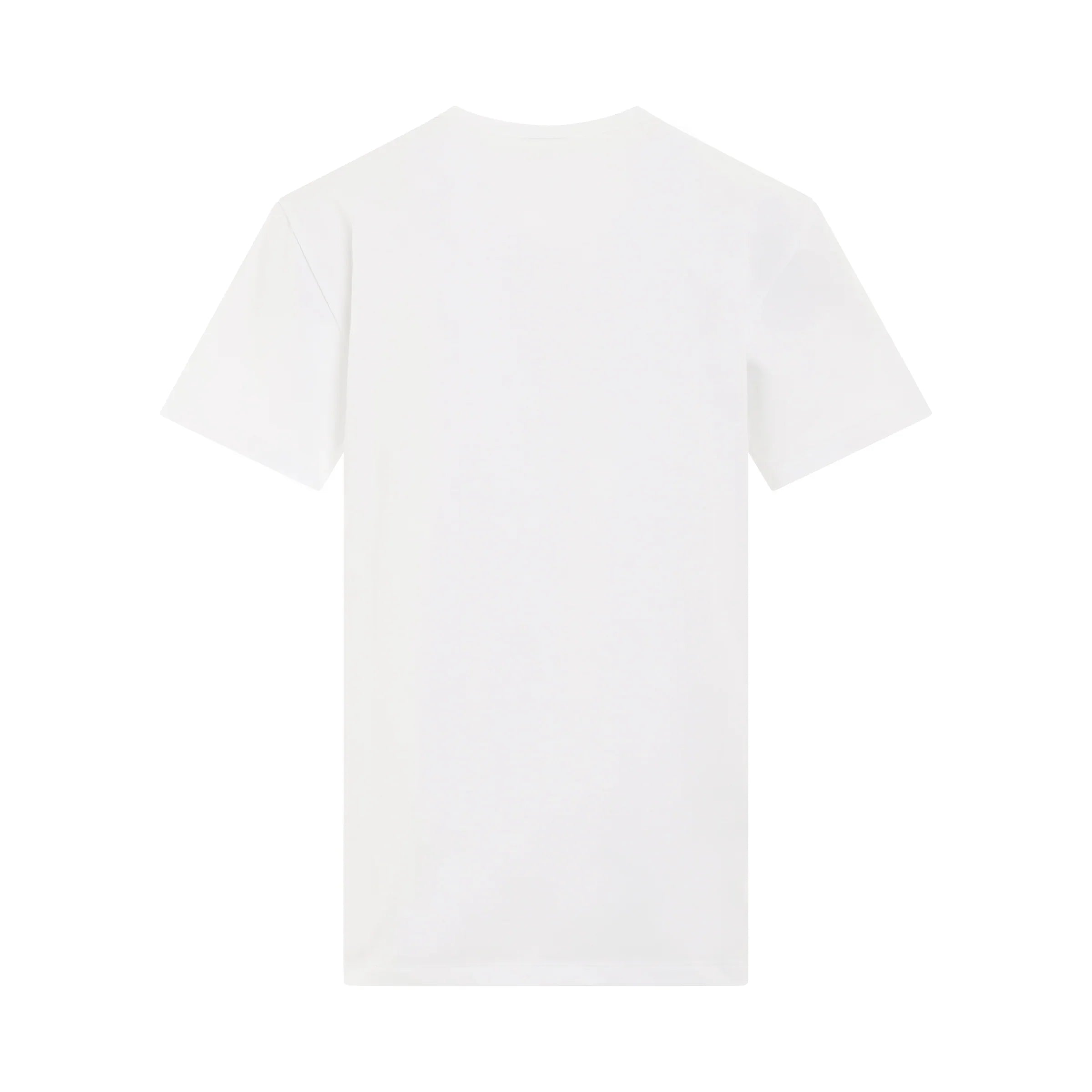 ALEXANDER MCQUEEN Atelier Print Jersey T-Shirt in White/Black