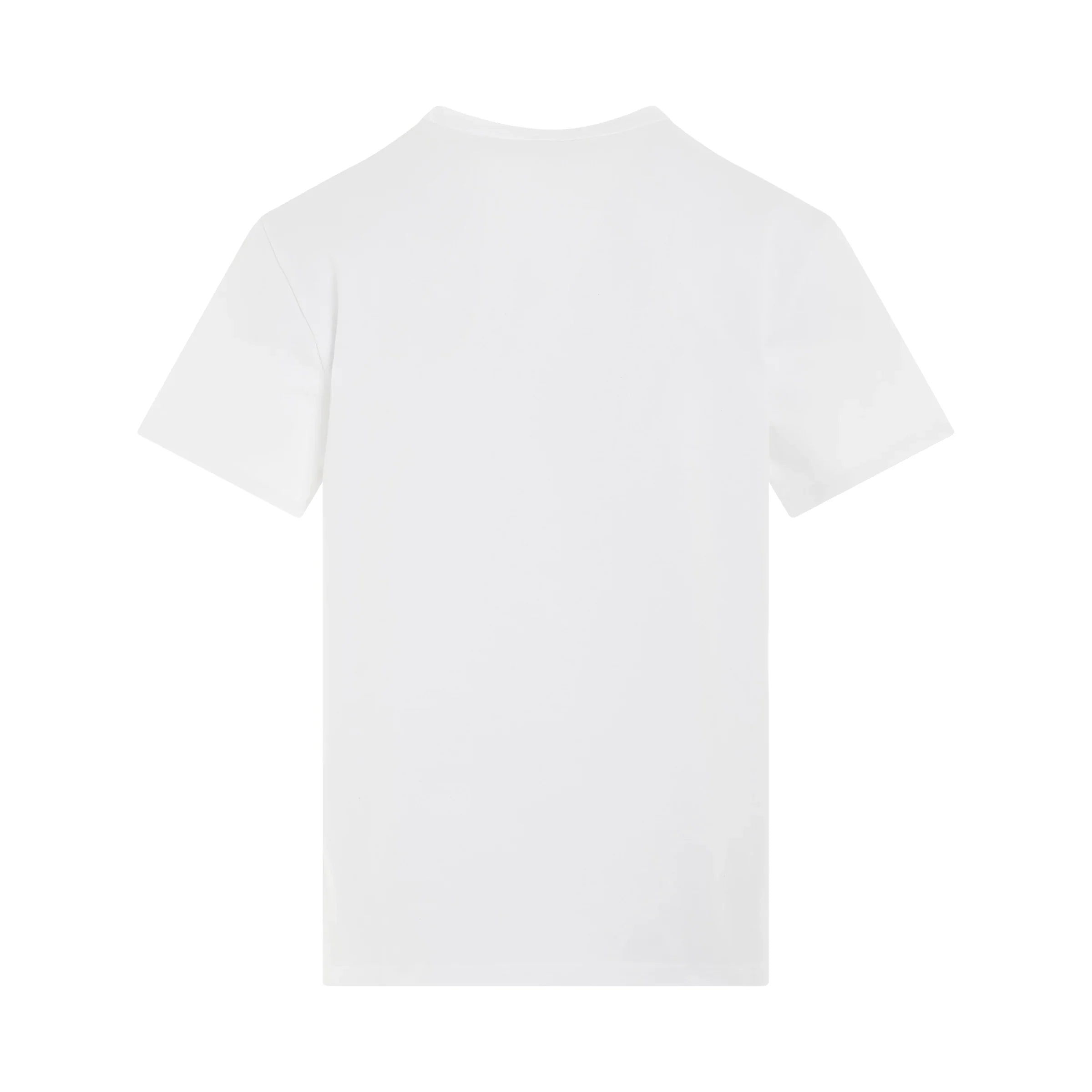 ALEXANDER MCQUEEN Garden Skeleton T-Shirt in White