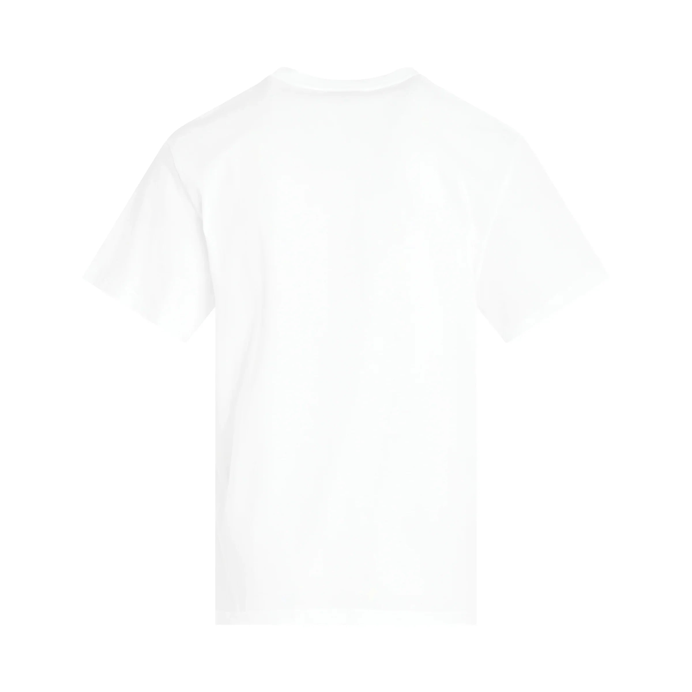 ALEXANDER MCQUEEN Floral Print T-Shirt in White/Black