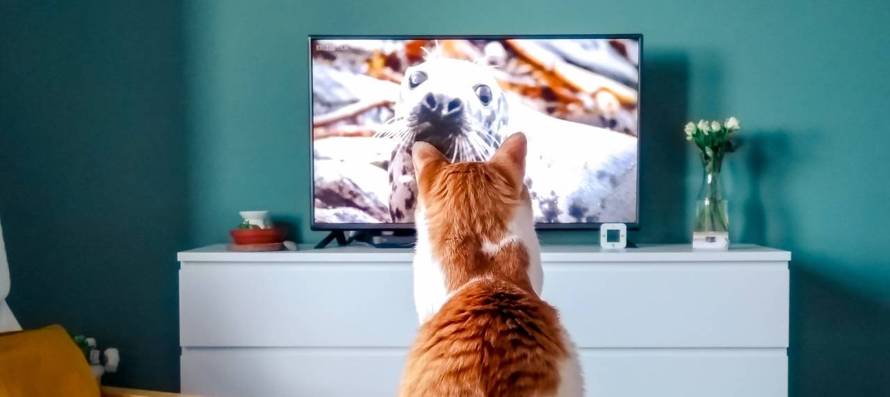 Smart Security Setup